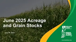 June 2025 Acreage and Grain Stocks Report Recap