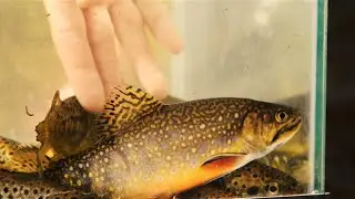 Bio Blitz Weekend