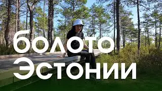 Искупалась в эстонском болоте, почему эстонцы купаются в болоте Viru raba