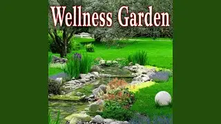 Holistic Wellness (Music with Bird Sounds)