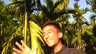 last exam ni takai bless kambai ag ng swr kwo 🤣😎😎