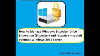 How to Master BitLocker on Windows Server: Expert Guides for IT Systems Specialists