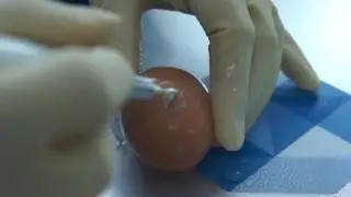Traus SUS 10 Piezo Demo