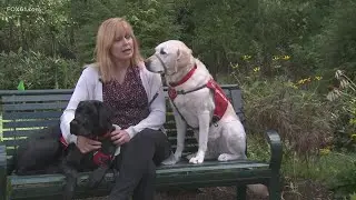 FOX61 to sponsor NEADS World Class Service Dog in training