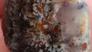 @AZFortificationAgates Cuts a Pretty AZ Moss Agate