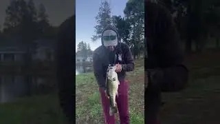 Big bass caught in private dam - bass fishing South africa#shorts