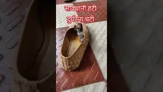 सतर्क रहे🧐#facts #snake #snakeheadhunting #rainyday #rain