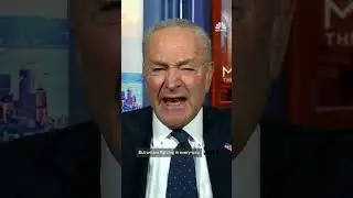 Chuck Schumer defends Democrats' strategy for resisting Trump and Musk