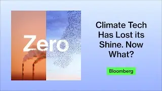 What a venture capitalist does when climate tech loses its shine | Zero: The Climate Race