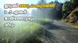 ആധാരമുള്ള 2.5 ഏക്കേർ ജാതിതോട്ടവും വീടും ഇടുക്കിയിൽ I 24 Kerala properties I #350