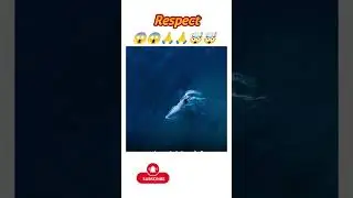 #15 A Penguin Escaping From A Shark #respect #end#public #trap#fish#shark #penguin#trap#song#remix