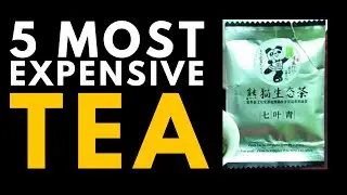 Top 5 Most Expensive Tea In The World 2022