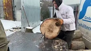 Real Firewood Processing – No Safety Nets
