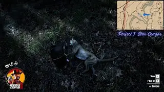 How to Hunt a 3-Star Cougar in RDR2 &ndash; Perfect Pelt Guide! | 2025 #rockstargames #rdr2