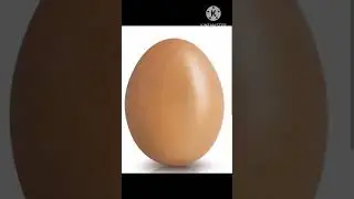 World's famous egg