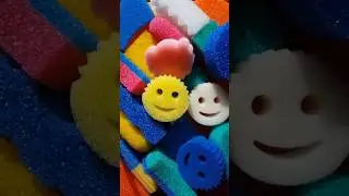 LIFE IN PLASTIC IS FANTASTIC! 🤩
