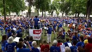 Colmar Symphonic mob 2025