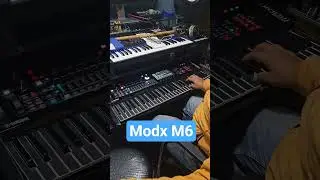 Yamaha Modx M6 indian tones