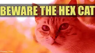 The Hex Cat of Tumbling Run   Werewolf Radar Paranormal Time #1