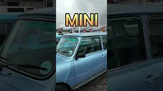 Designed for Fun #mini