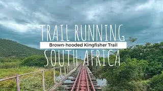 Trail Running in Wilderness South Africa | Brown Hooded Kingfisher Trail