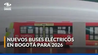 Así será la flota eléctrica que llegará a Bogotá en 2026: 50 serán buses articulados duales