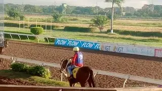 RICHARD ROBERTSON/EVERTON MILLER/EVERTON STONE/ BARRINGTON McCarthy/TREVOR JOHNSON at the track