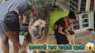 सुमितच्या मागे गेला बघायला माझी गाडी कुठे घेऊन चालला 😯