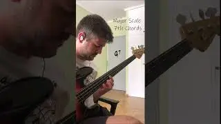 Major scale 7th arpeggios #fretlessbass #bassguitar #basslovers #contrabaixista #bassist #arpeggio