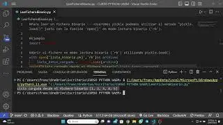Lectura de Ficheros Binarios en Python   Uso de Pickle para cargar datos