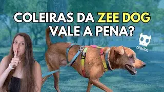 COLEIRAS e GUIAS da ZEEDOG: BOA ou M&Aacute; op&ccedil;&atilde;o para o passeio do teu cachorro?