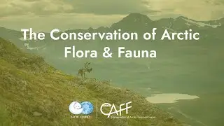 An introduction to: The Conservation of Arctic Flora and Fauna