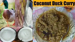 Duck Meat || Coconut Duck Curry ||Assamese Style Duck Curry || #vlog #duckmeat