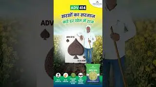 एडवांटा ADV 414 - सरसों का सरताज, करे हर खेत में राज।