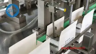 Fully Automatic Cosmetic Vertical Cartoning Machine for Blister Tablet Strips Packs