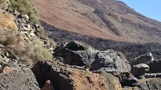 Exploring Mount Teide by Bus 🗻 | Views & Guide in English & Deutsch.#travel #mountteide #tenerife 