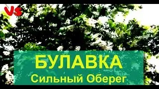 Булавка на здоровье, удачу и деньги.