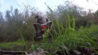 GoPro outside view - SUZUKI LTZ 400 - TOM-CROSS.COM