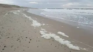 🐤🧁⭐ Strand V&ouml;gel Dezember