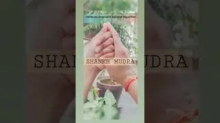 #SHANKH MUDRA:clear the  throat and calm agitation in the lungs#yogalife 🧘🤸