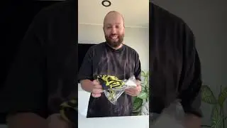 WWE merch haul from prosphere