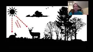 Mt. Ecology, Module 10: Moose Behavioral Adaptations, by Dr. Jyoti Jennewein