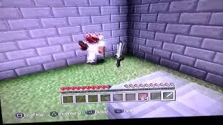 youbeer and the immortal bear