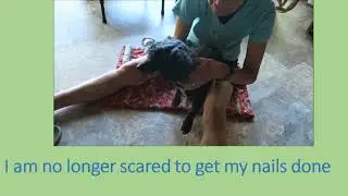 Dog Training Using Recallers Games is our Passport to Fun