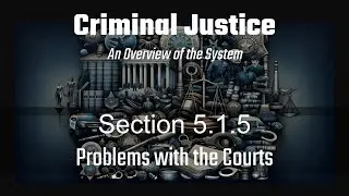 Section 5.1.5: Problems with the Courts