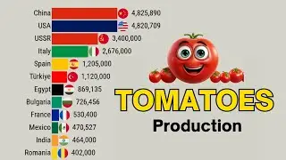Top Tomatoes Producer Country in The World