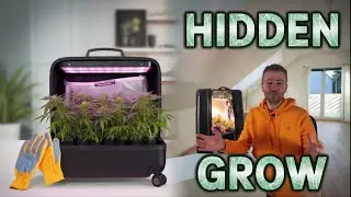 Culture Secr&egrave;te Discr&egrave;te : Grow dans une Valise