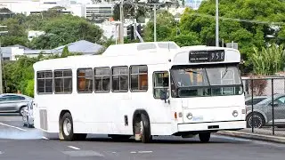 [D2566/Voith] Brisbane Transport MAN SL200 - 958