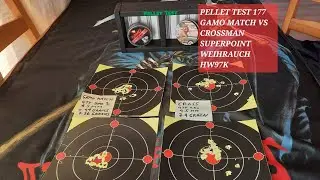 Weihrauch HW97K в матче 177 Gamo против Crossman Superpoint #airgunshooting #2025 #pelletrifle