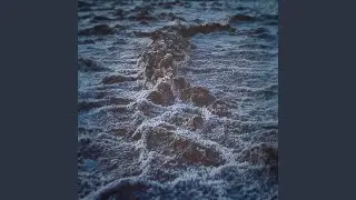 High Tide
